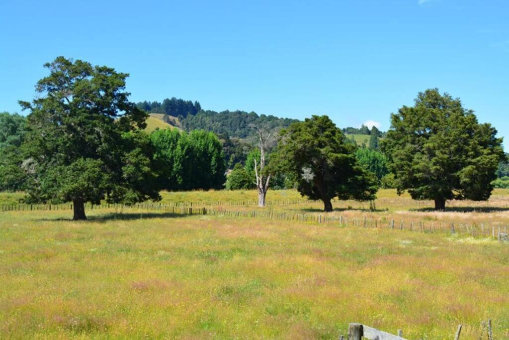 Riverlea Cottage - Cosy, Comfy, Quiet, Central Taumarunui Buitenkant foto