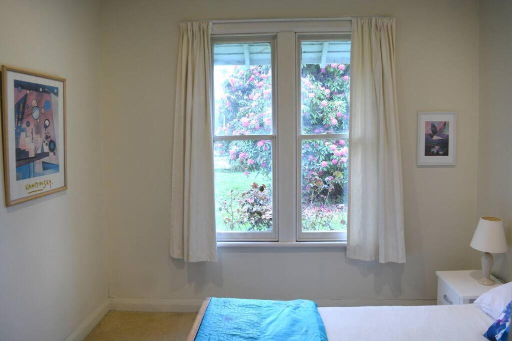Riverlea Cottage - Cosy, Comfy, Quiet, Central Taumarunui Buitenkant foto