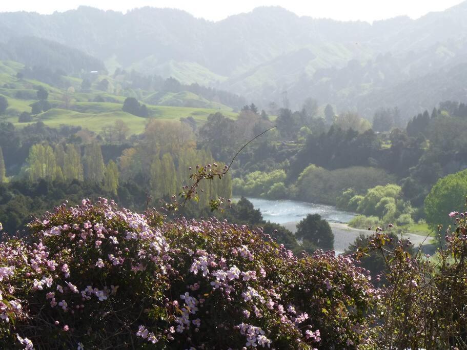 Riverlea Cottage - Cosy, Comfy, Quiet, Central Taumarunui Buitenkant foto