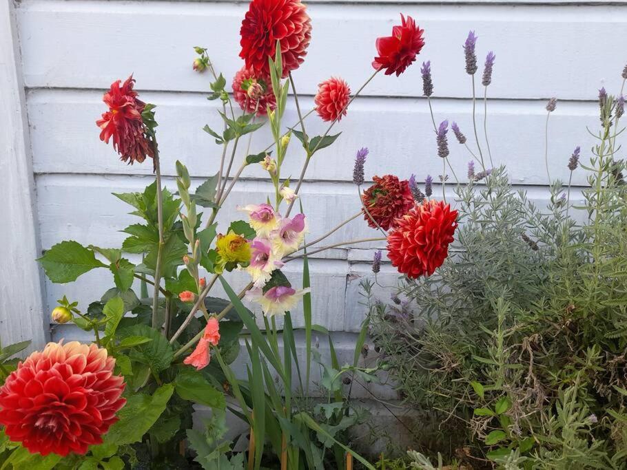 Riverlea Cottage - Cosy, Comfy, Quiet, Central Taumarunui Buitenkant foto